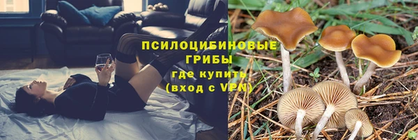 марихуана Беломорск