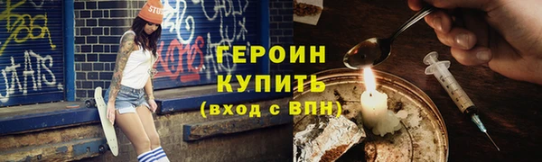 индика Тавда
