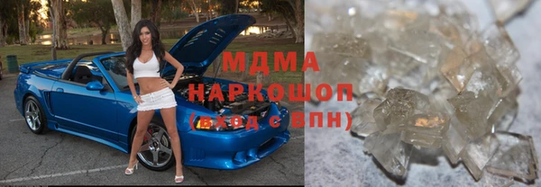 индика Тавда