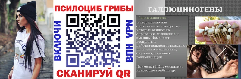 kraken маркетплейс  как найти закладки  Гаврилов-Ям  Галлюциногенные грибы GOLDEN TEACHER 